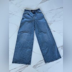 Express Denim Wide Leg Jeans